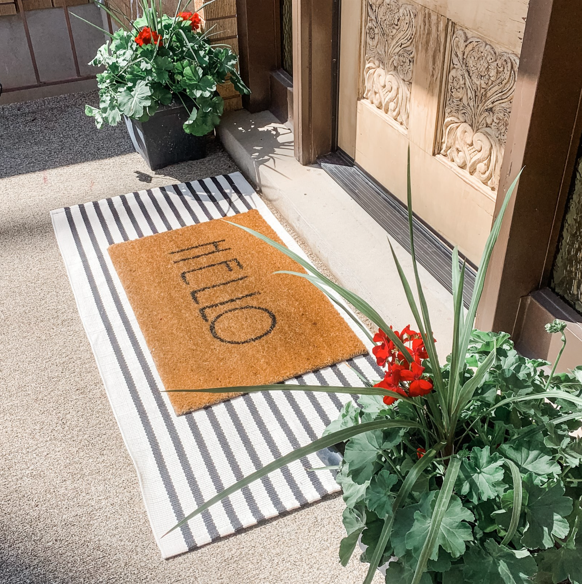 Front door rugs deals