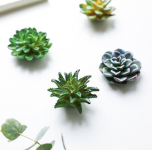 Load image into Gallery viewer, Mini 3D Succulent Resin Magnets