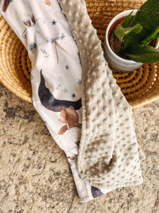 Designer Baby Minky Blankets